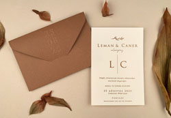 invitatii elite