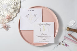 invitatii elite