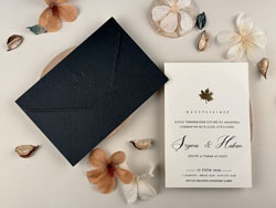 invitatii elite